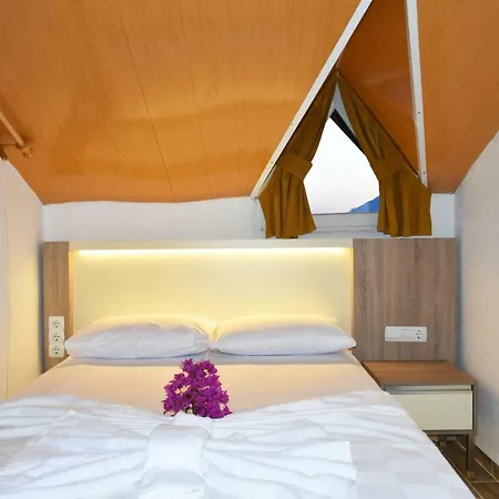 Limon Homestay *